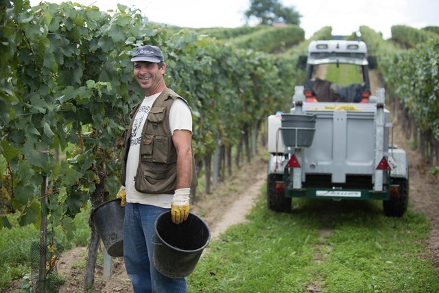 Circo Vino