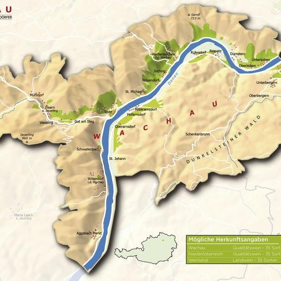 Circo Vino