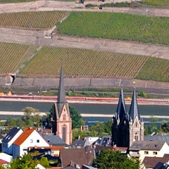 Circo Vino