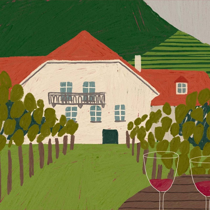 Circo Vino
