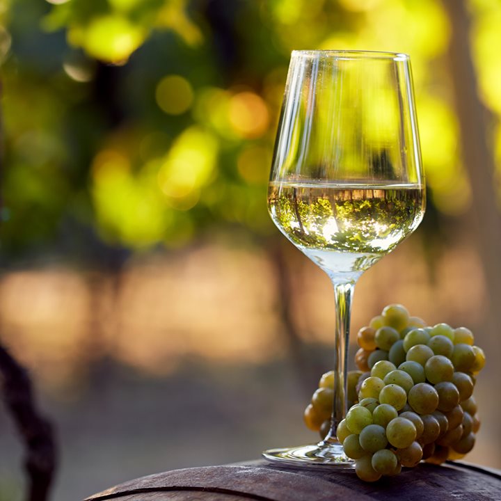 Circo Vino