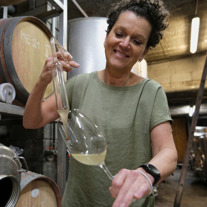 Circo Vino
